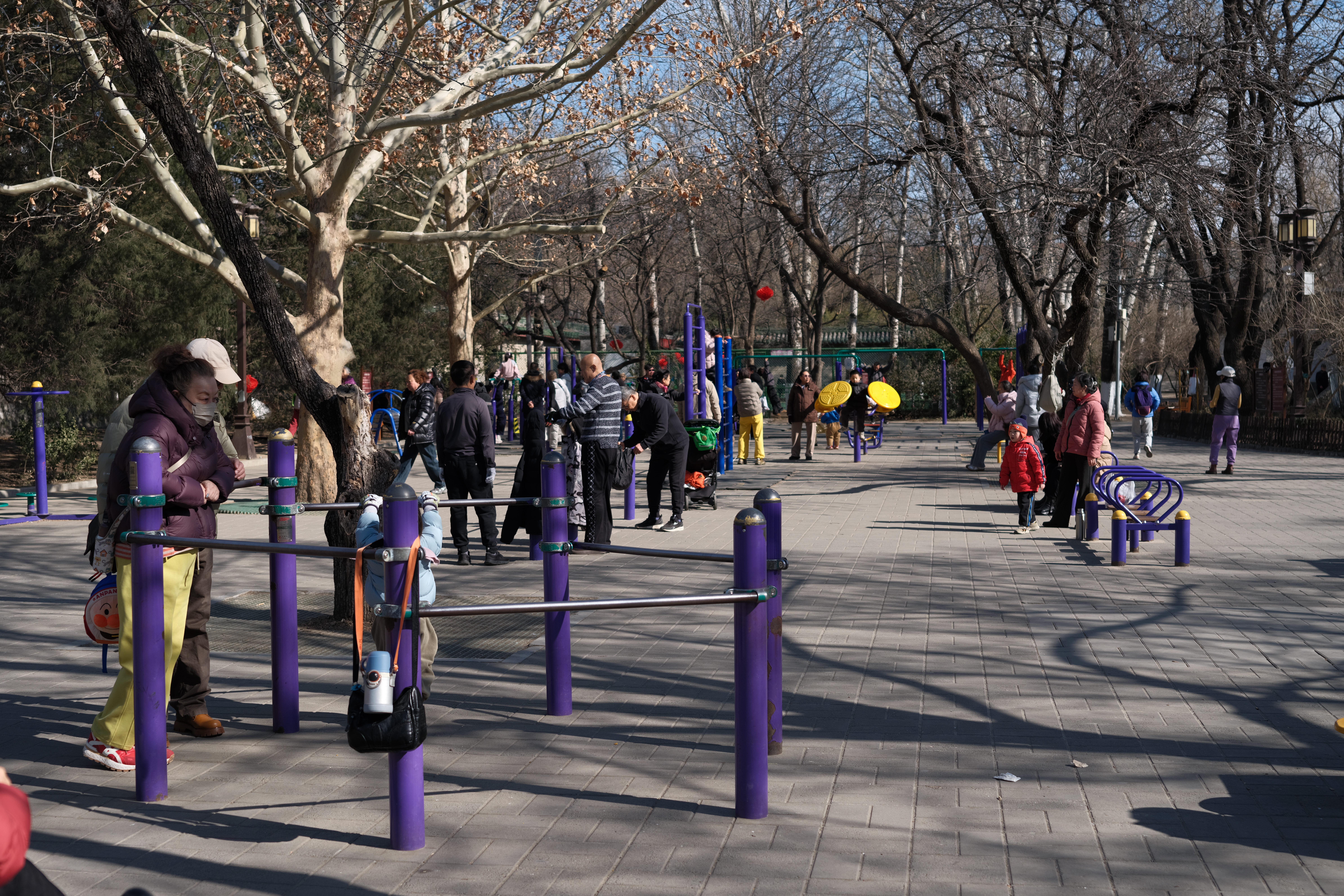 DSCF1271.JPG