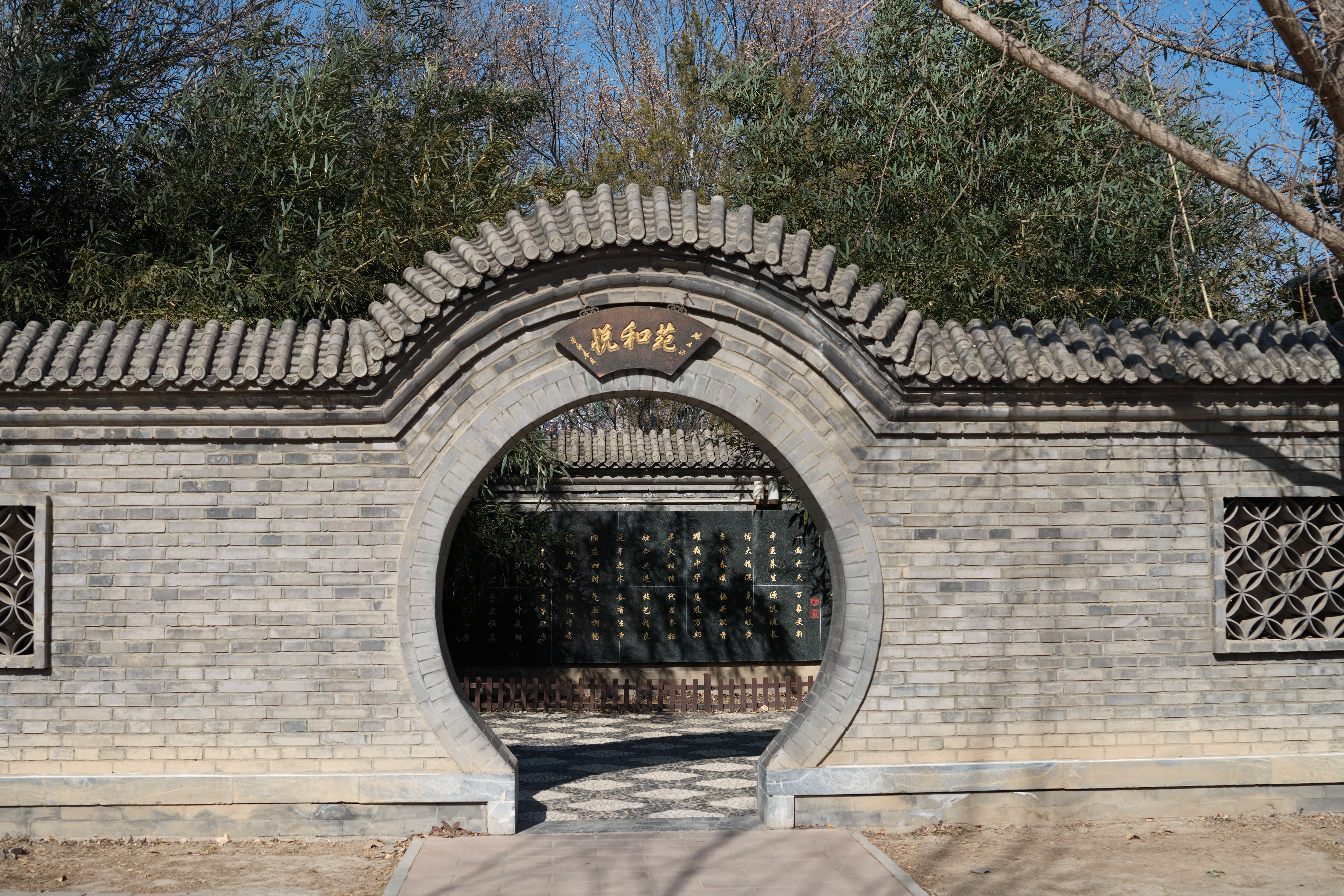 DSCF1280.JPG