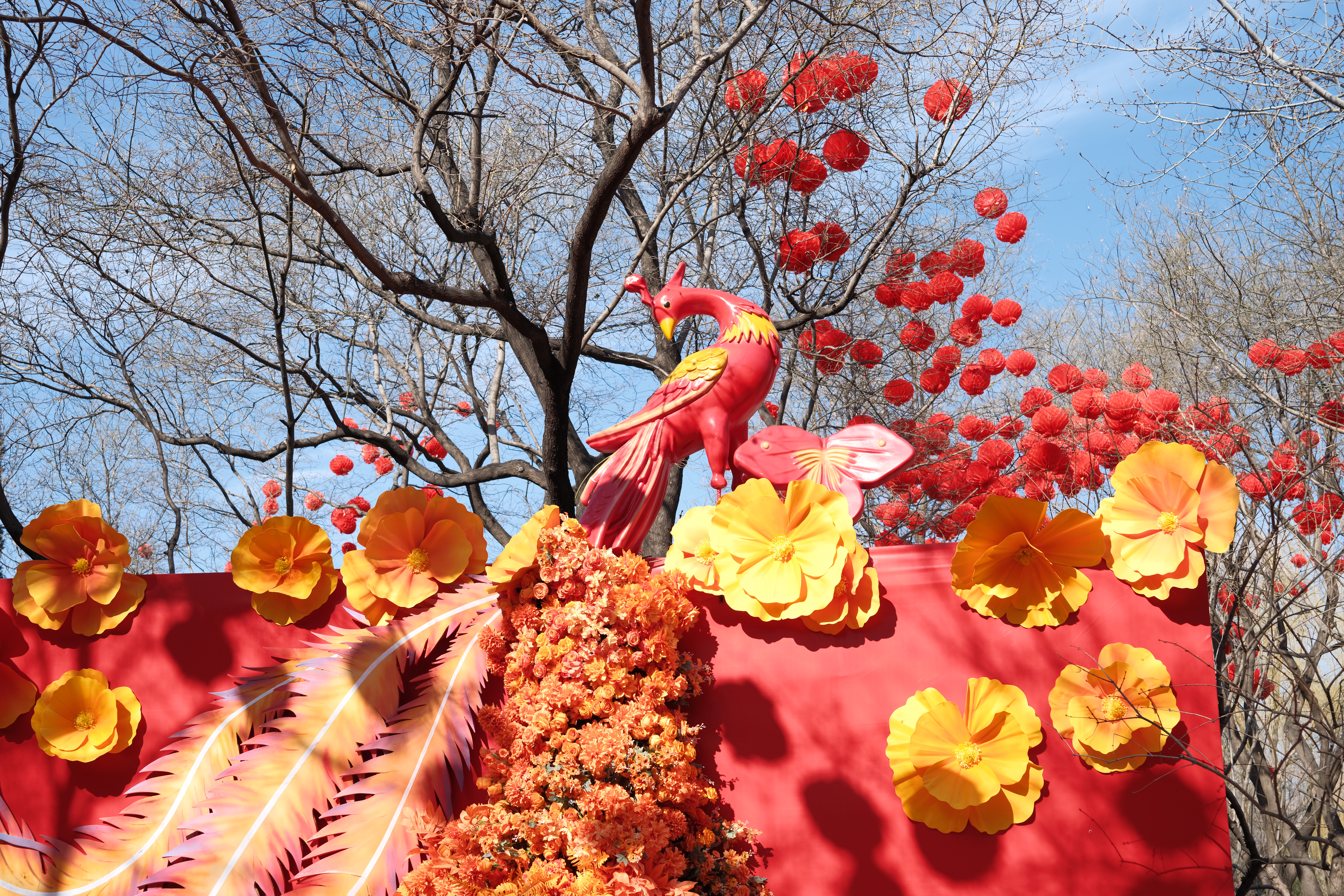 DSCF1283.JPG