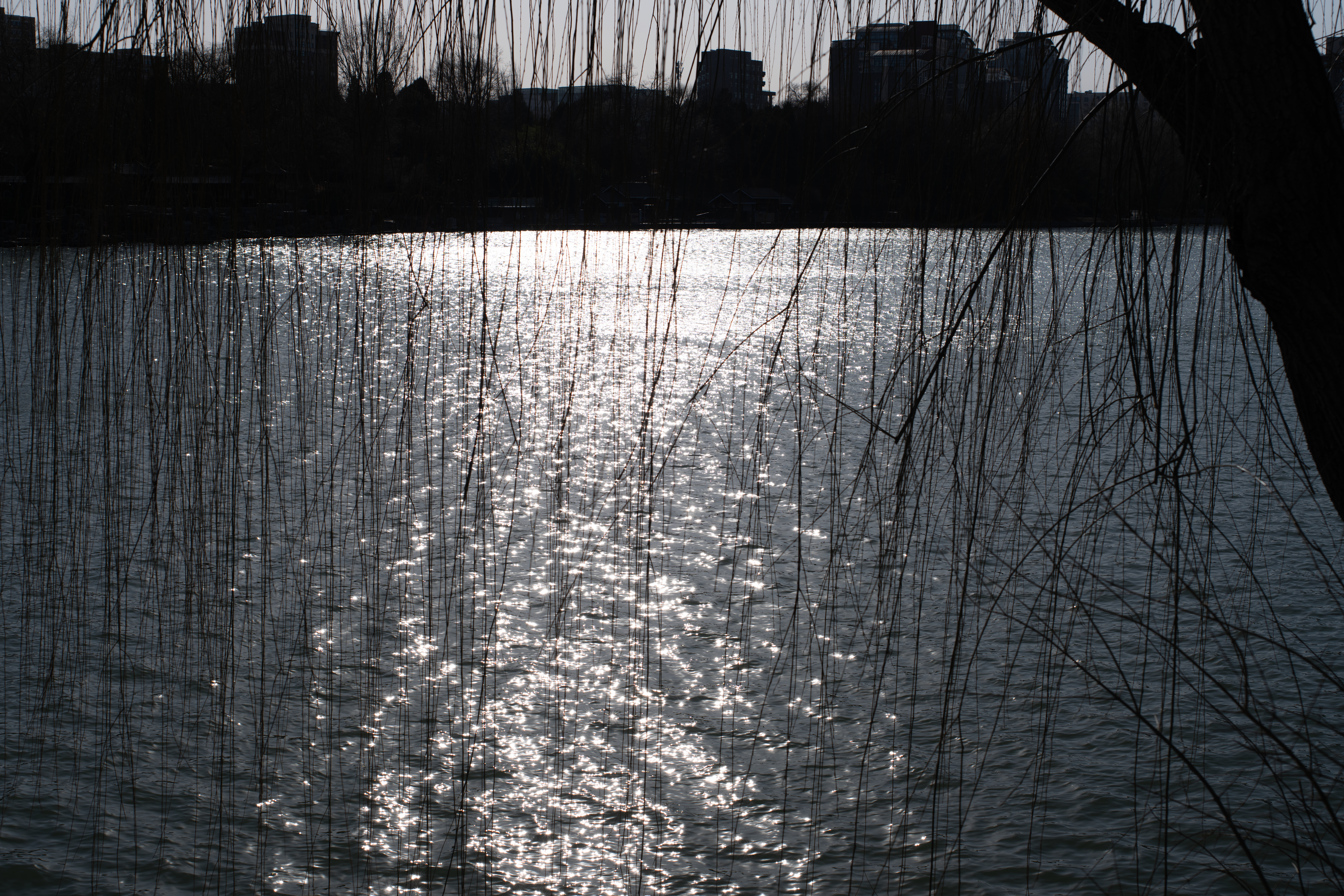 DSCF1501.jpg