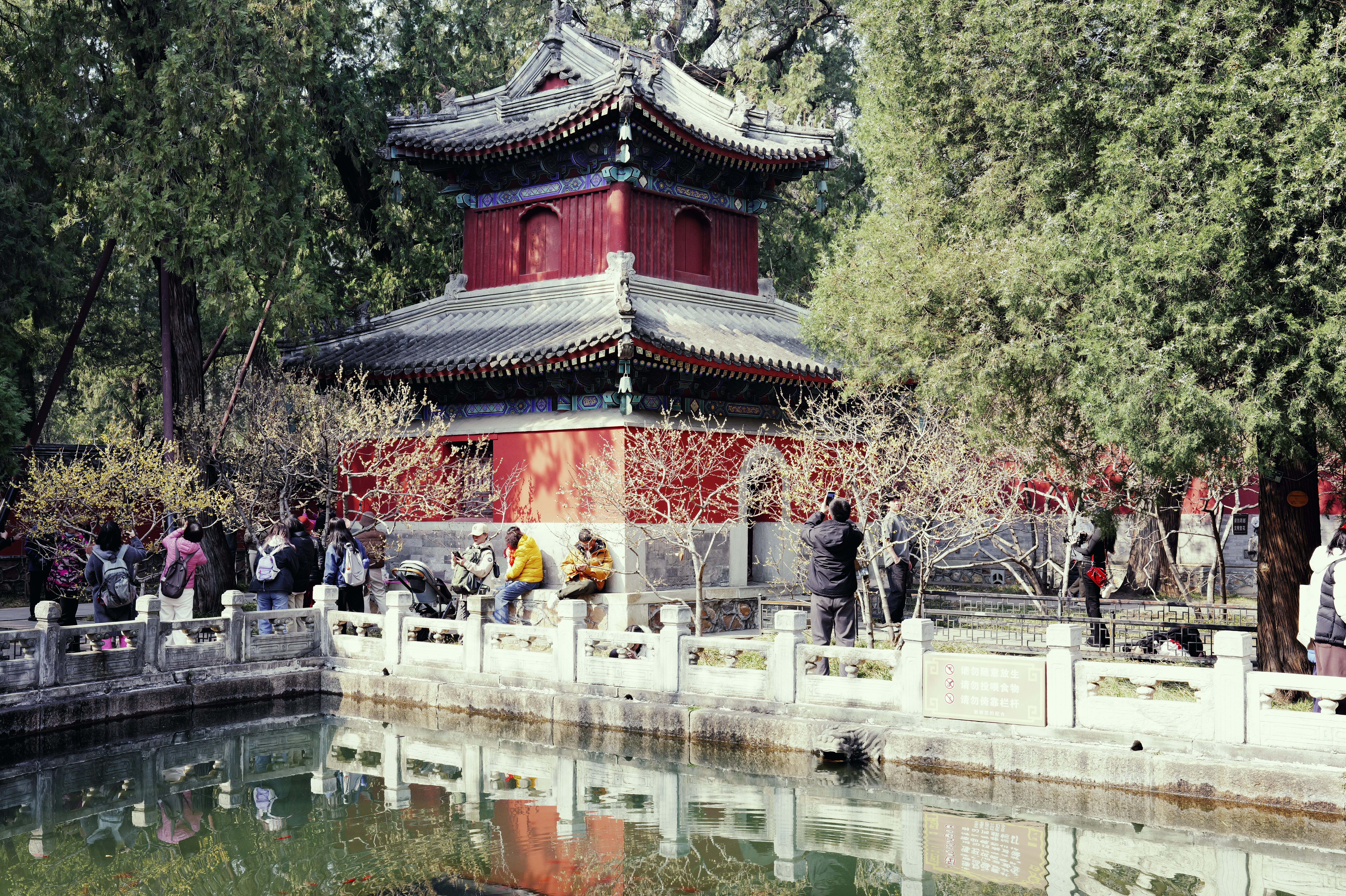 L1000130.JPG