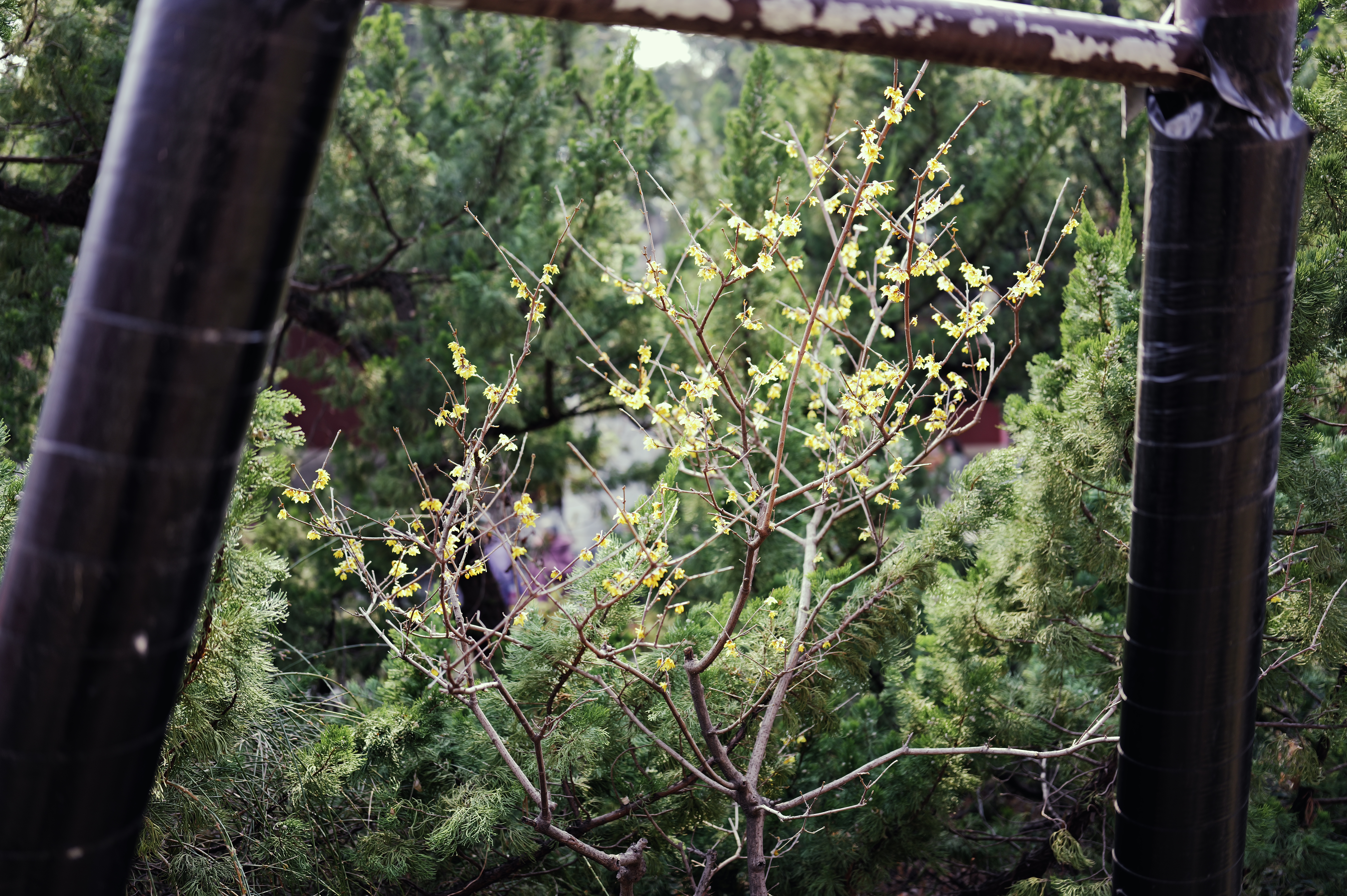 L1000151.JPG