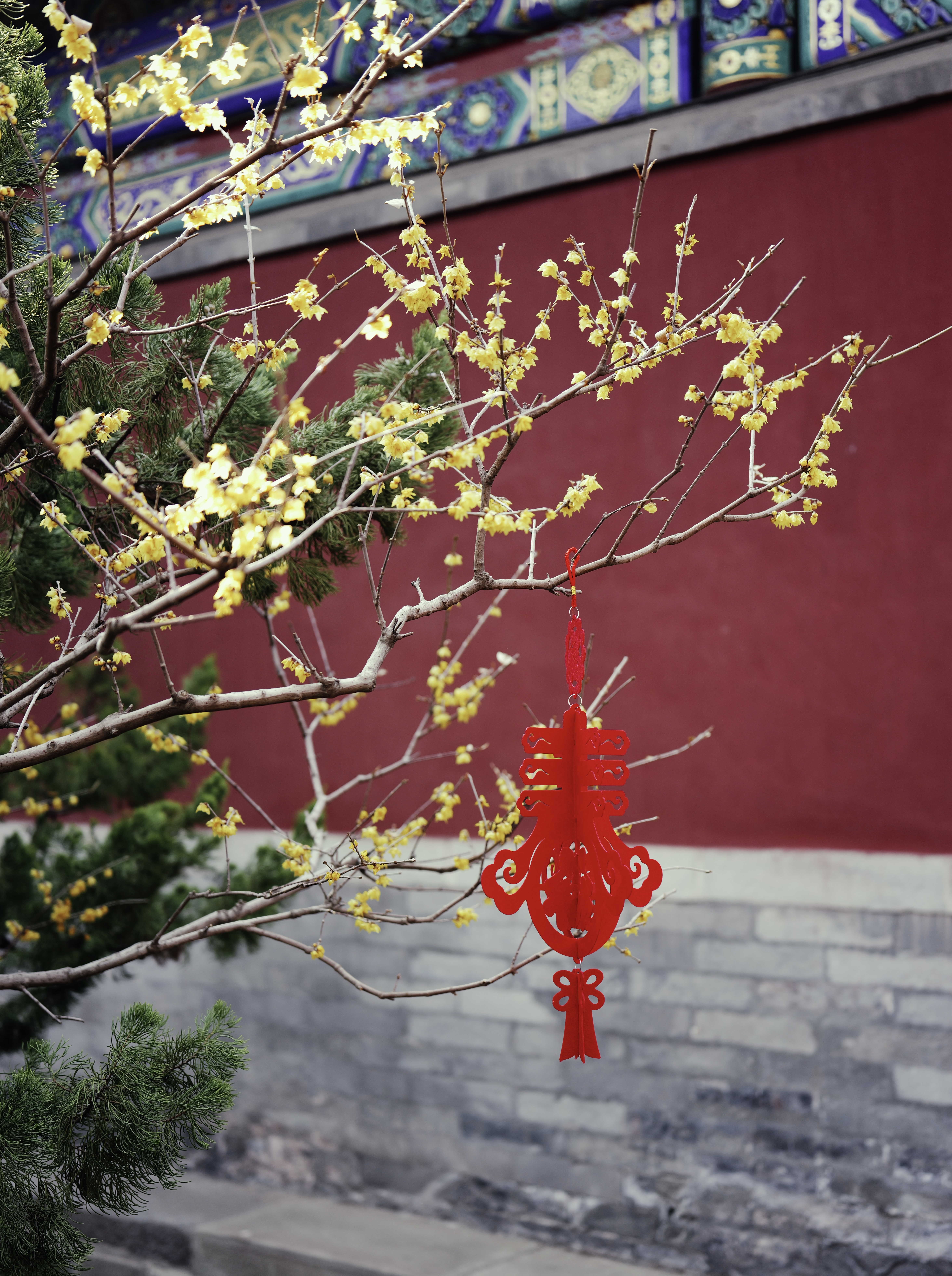 L1000156.jpg