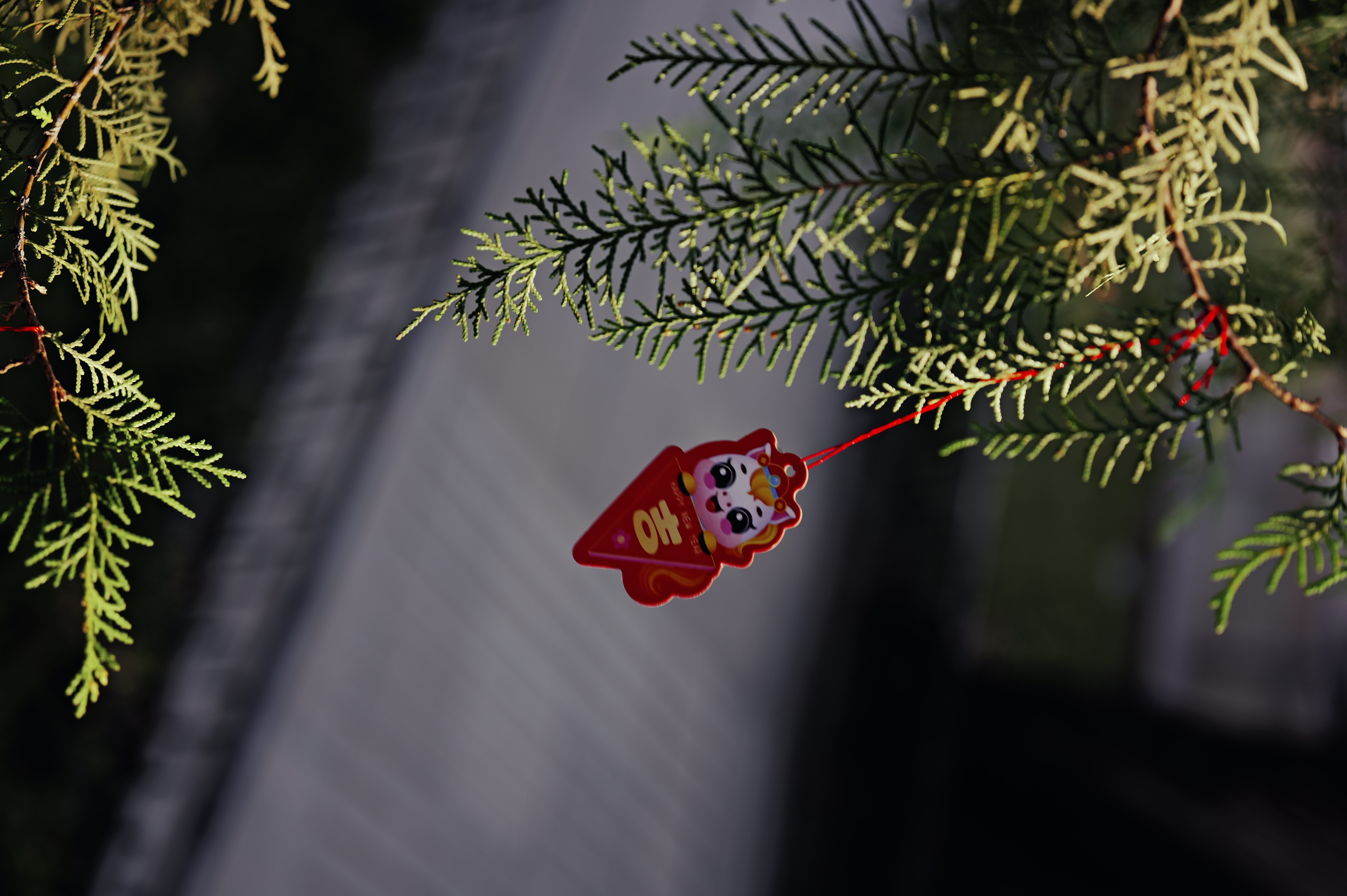 L1000162.JPG