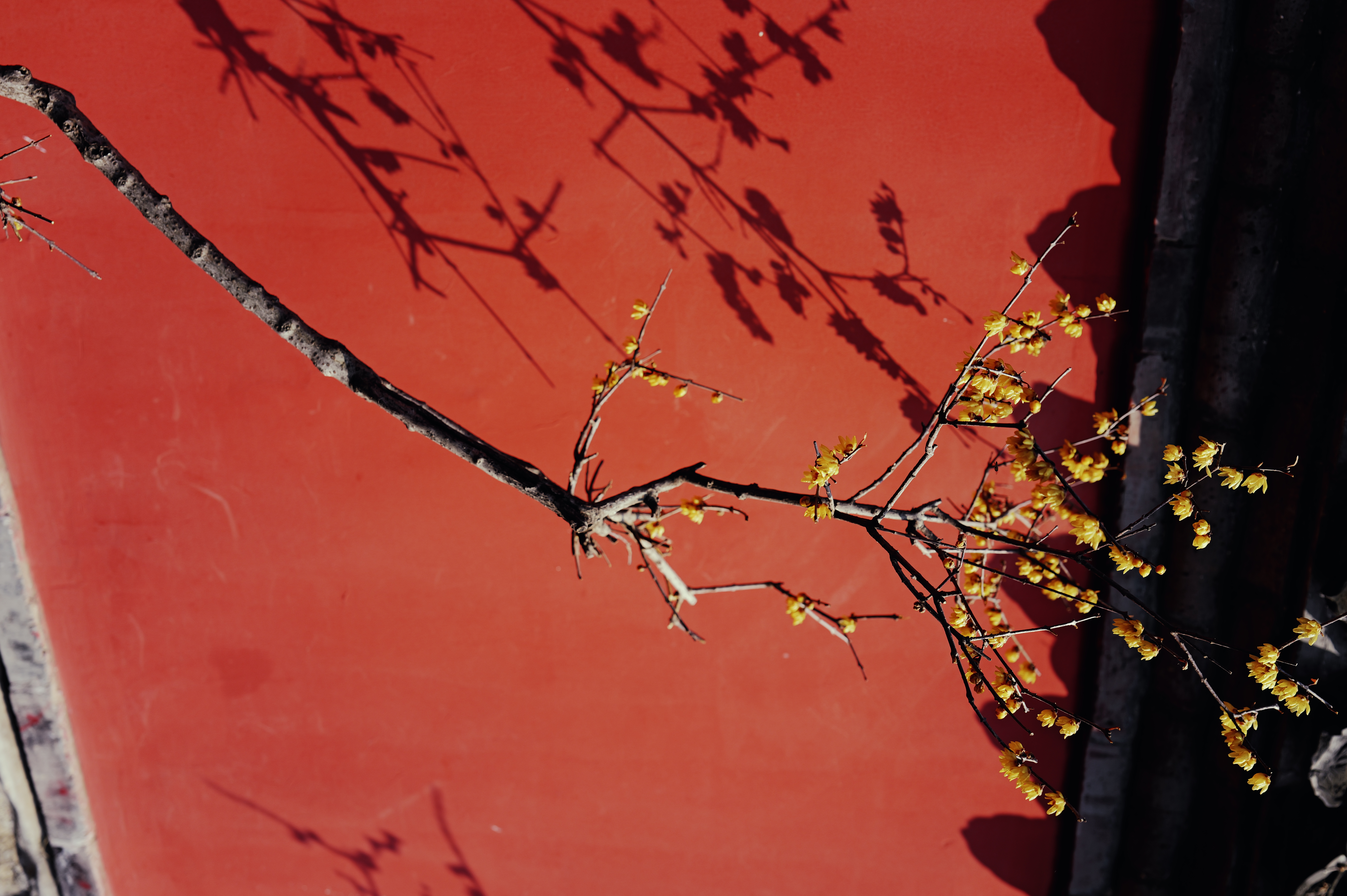 L1000174.JPG