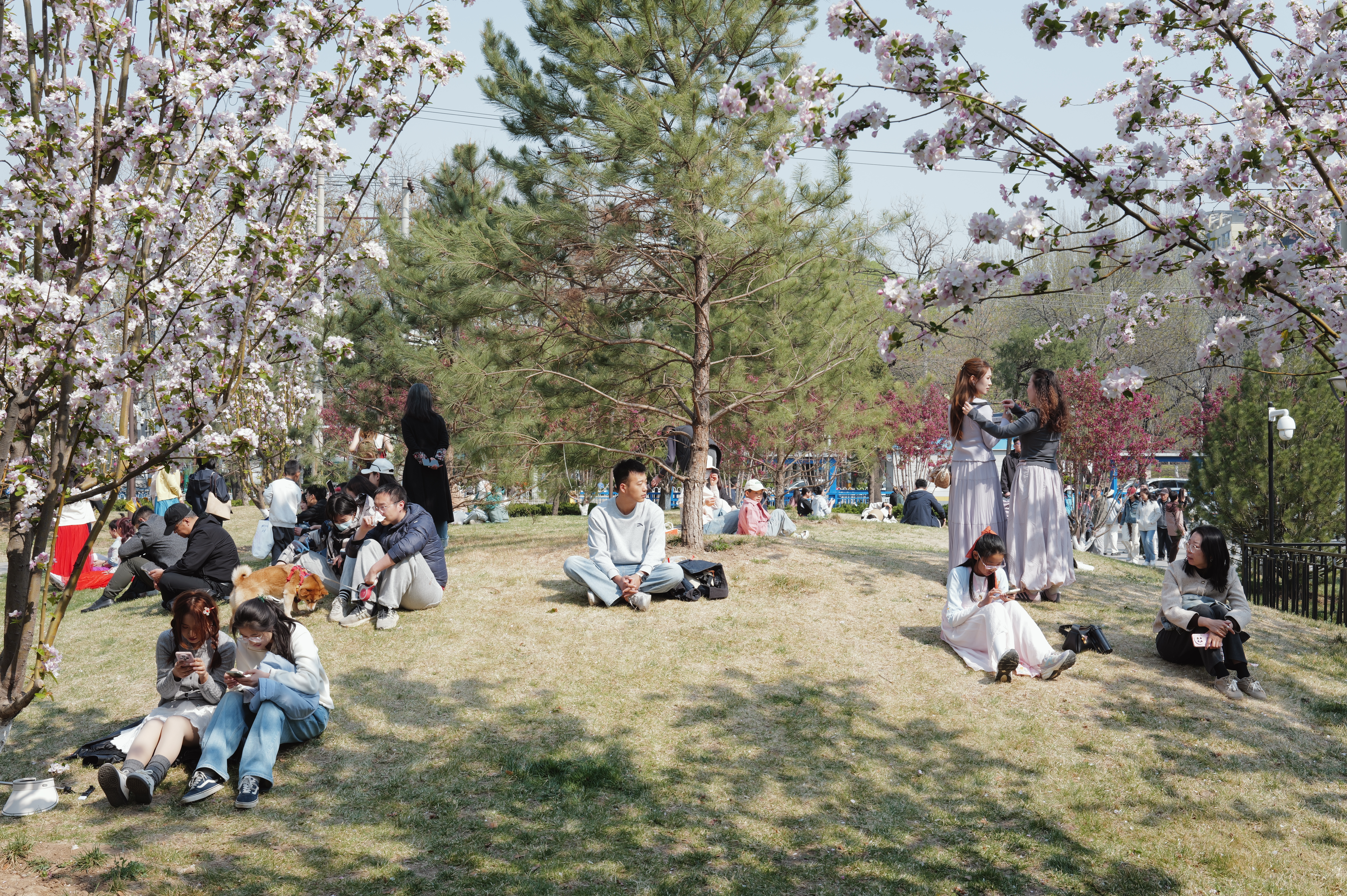 L1000358.JPG